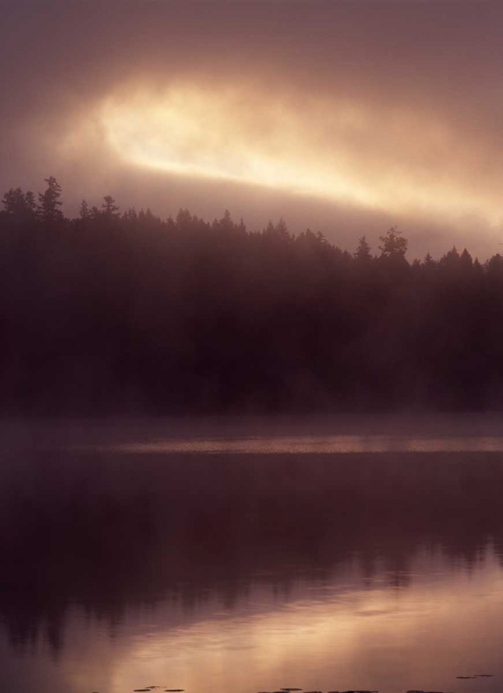 Canada, BC, Clearwater, fog on Dutch Lake art print by Mike Grandmaison for $57.95 CAD